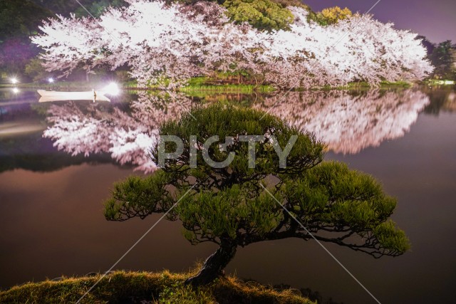 写真のタイトルが入ります