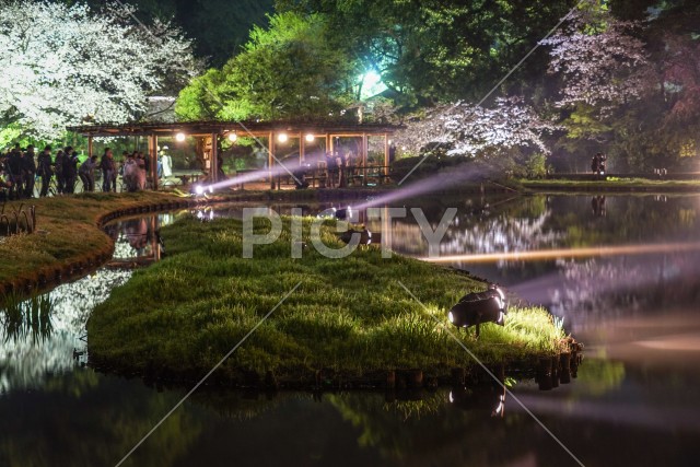 写真のタイトルが入ります