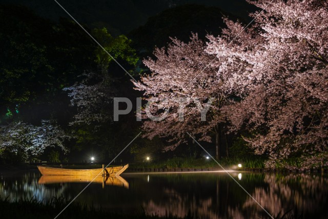 写真のタイトルが入ります