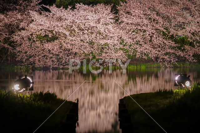 写真のタイトルが入ります