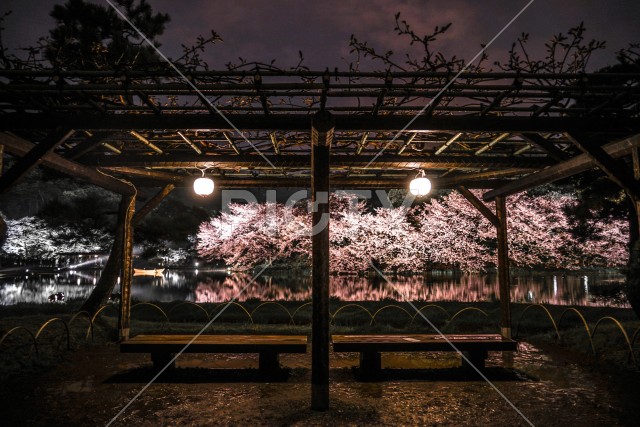 写真のタイトルが入ります