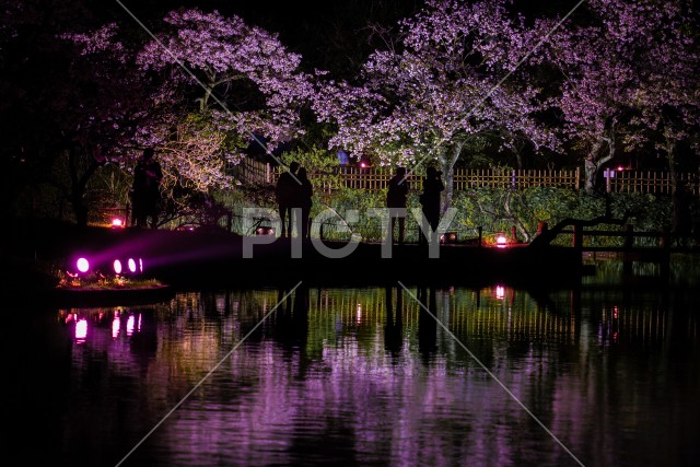 写真のタイトルが入ります