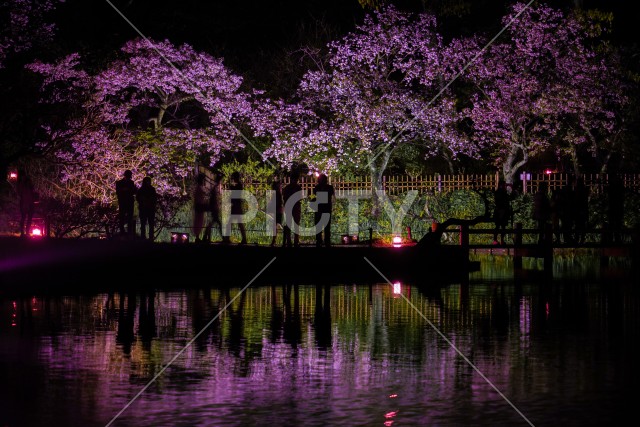 写真のタイトルが入ります