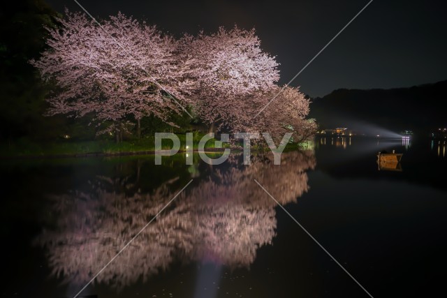 写真のタイトルが入ります
