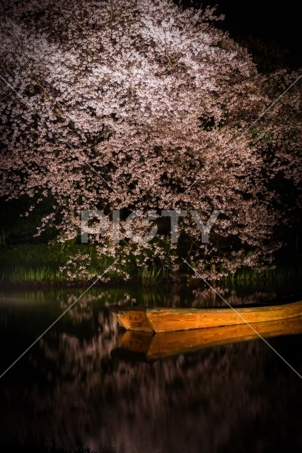 写真のタイトルが入ります