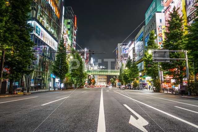 写真のタイトルが入ります