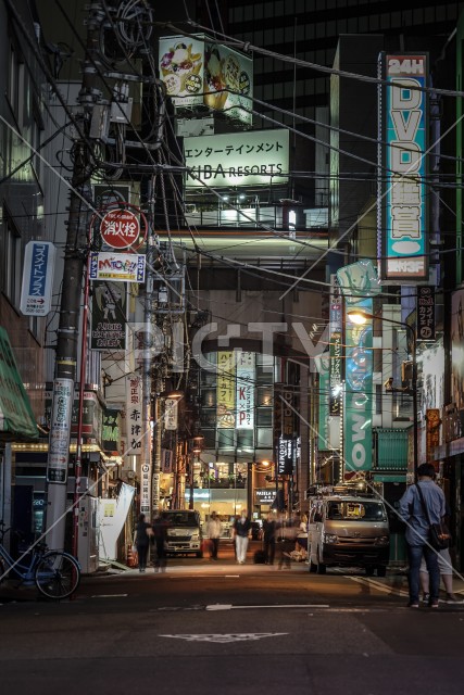 写真のタイトルが入ります