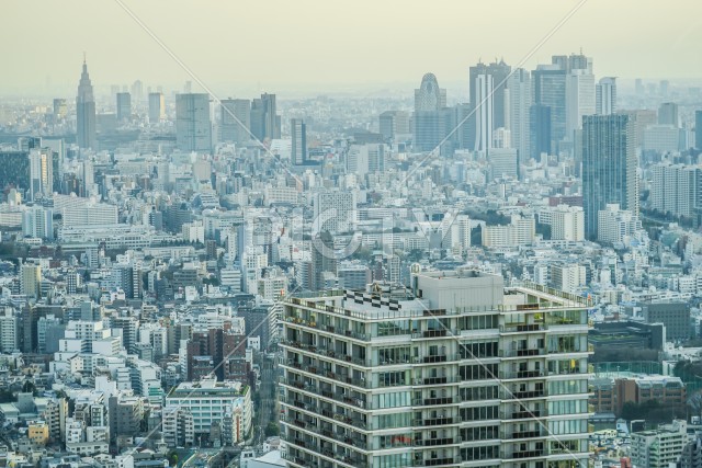 写真のタイトルが入ります