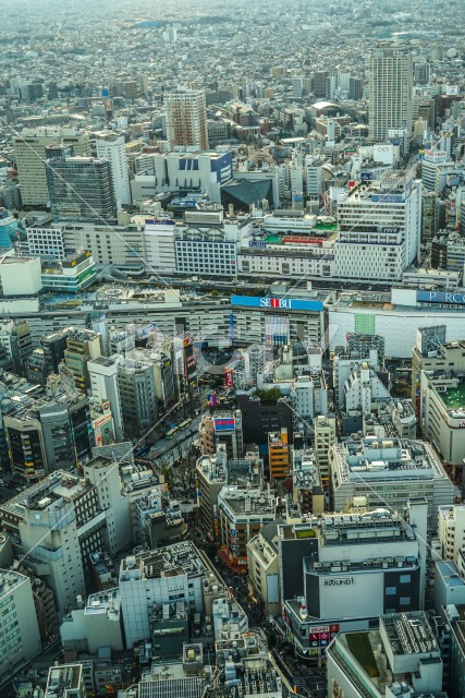 写真のタイトルが入ります