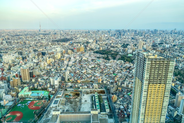 写真のタイトルが入ります