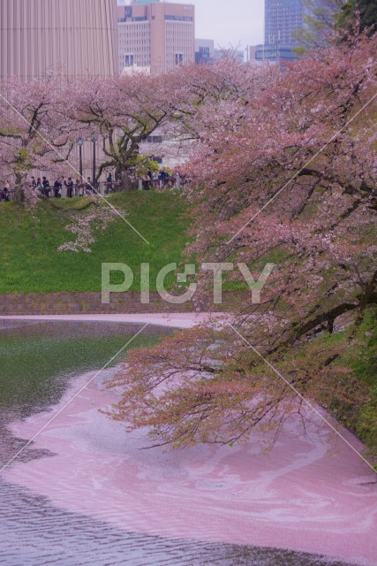 写真のタイトルが入ります