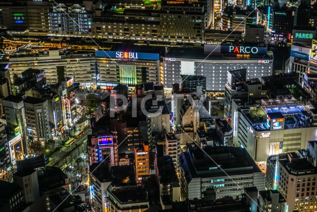 写真のタイトルが入ります