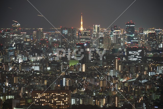 写真のタイトルが入ります