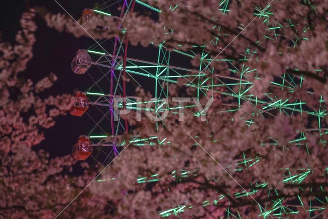 写真のタイトルが入ります