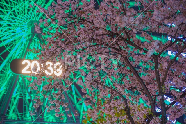 写真のタイトルが入ります