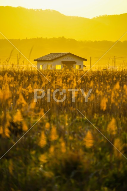 写真のタイトルが入ります