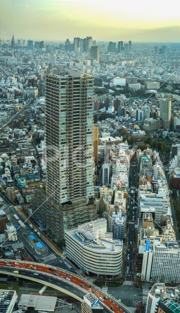 写真のタイトルが入ります