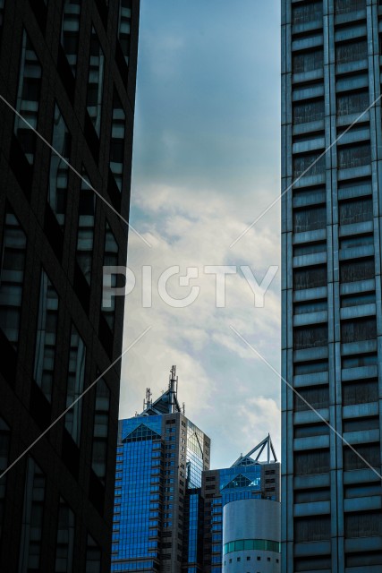 写真のタイトルが入ります