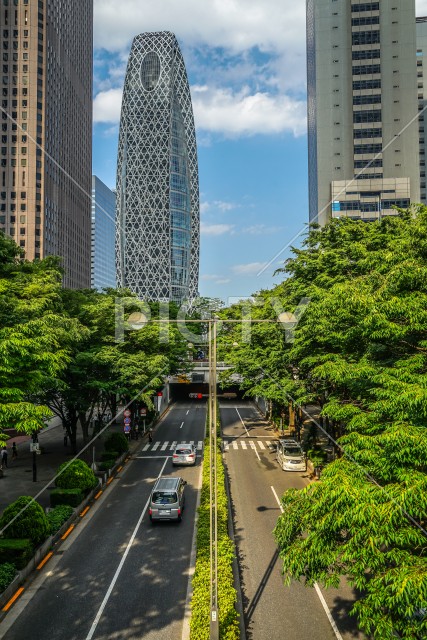 写真のタイトルが入ります