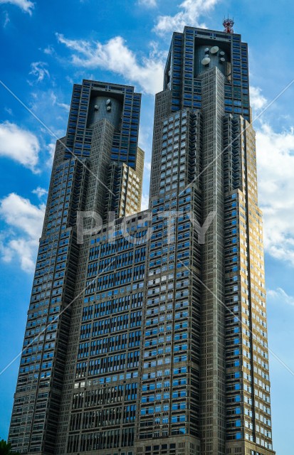 写真のタイトルが入ります
