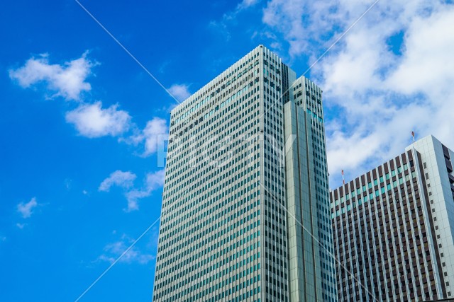 写真のタイトルが入ります