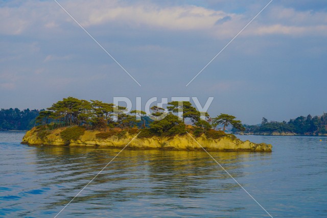 写真のタイトルが入ります