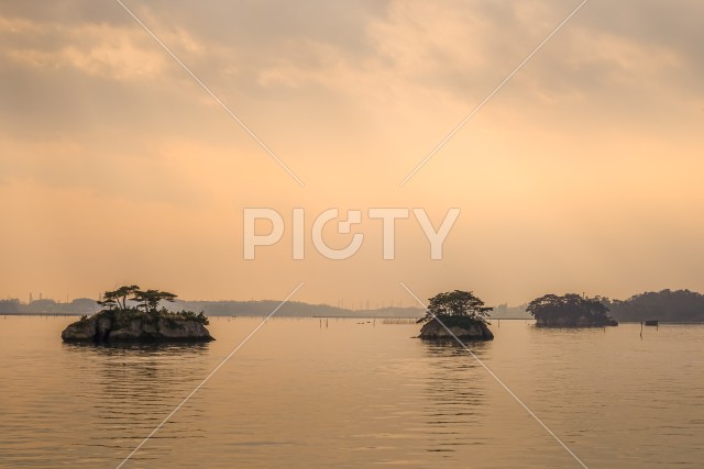 写真のタイトルが入ります