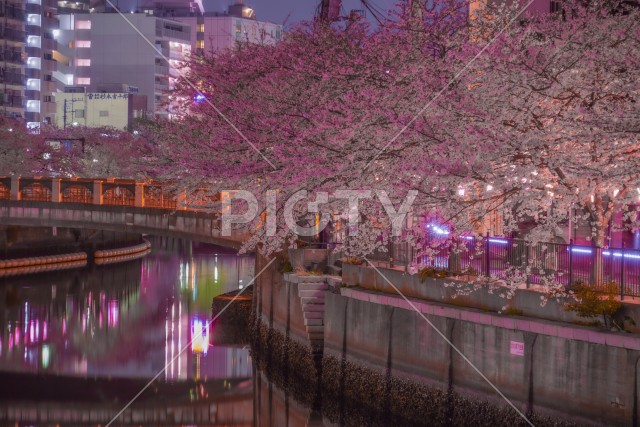 写真のタイトルが入ります