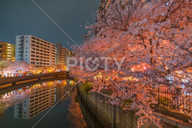 写真のタイトルが入ります