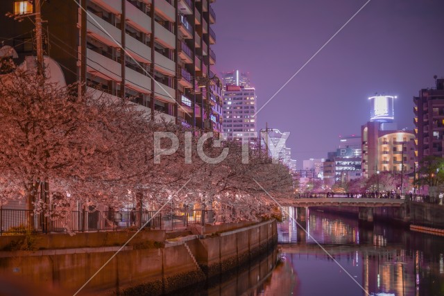 写真のタイトルが入ります