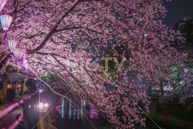 写真のタイトルが入ります