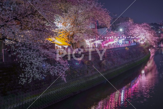 写真のタイトルが入ります