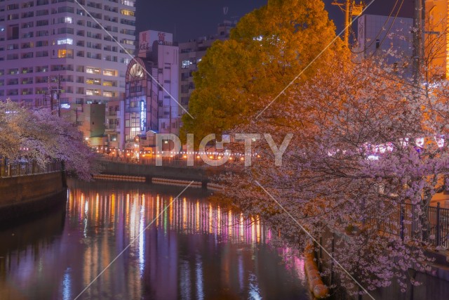 写真のタイトルが入ります