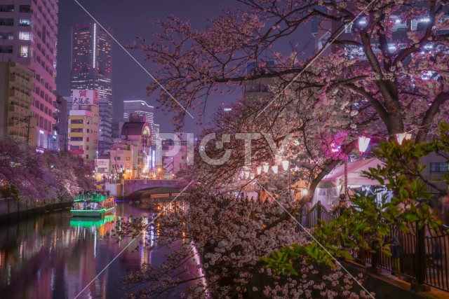 写真のタイトルが入ります