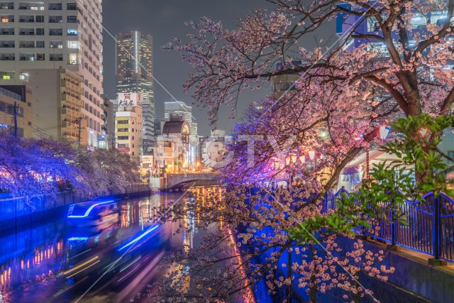 写真のタイトルが入ります