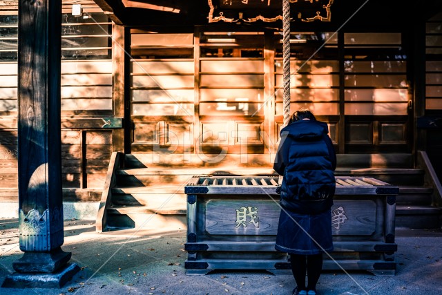 写真のタイトルが入ります