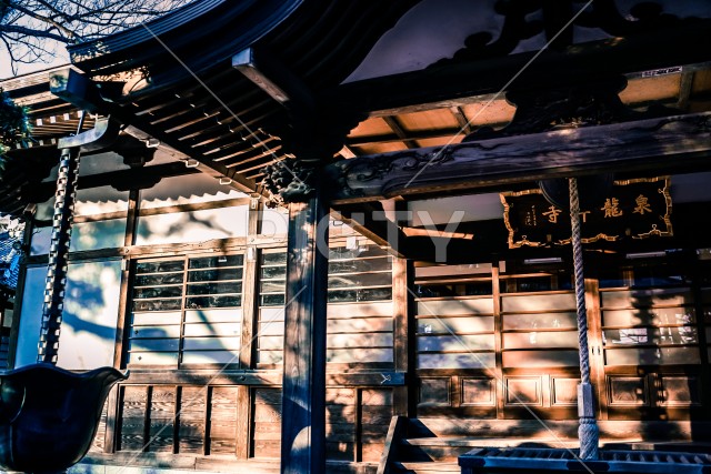 写真のタイトルが入ります