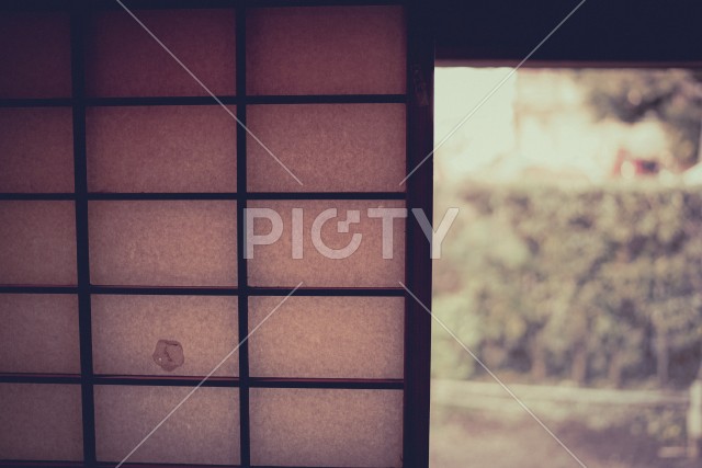 写真のタイトルが入ります