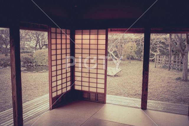 写真のタイトルが入ります