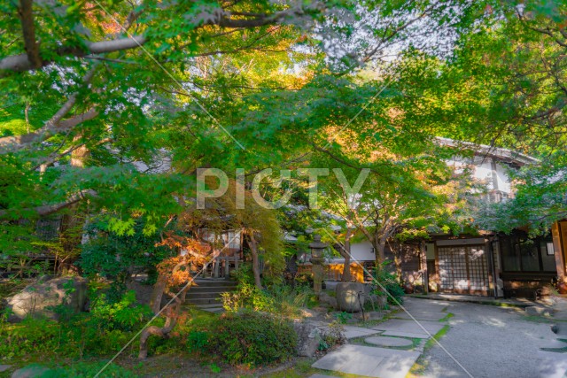 写真のタイトルが入ります