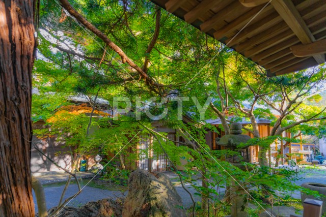 写真のタイトルが入ります