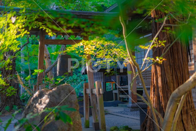 写真のタイトルが入ります