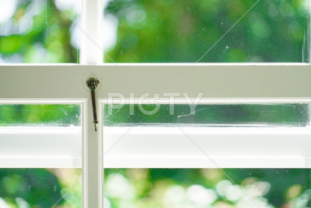 写真のタイトルが入ります
