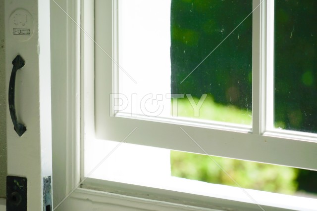 写真のタイトルが入ります
