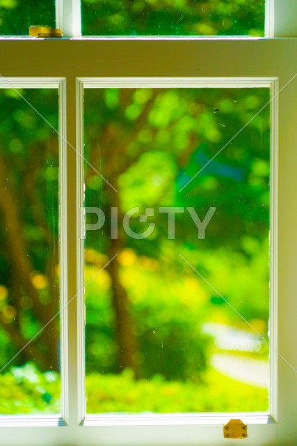 写真のタイトルが入ります