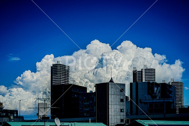 写真のタイトルが入ります