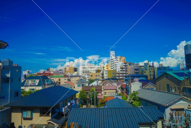 写真のタイトルが入ります