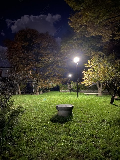 夜の公園