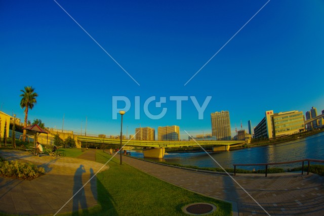 写真のタイトルが入ります