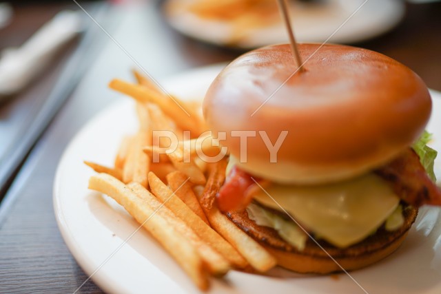 写真のタイトルが入ります